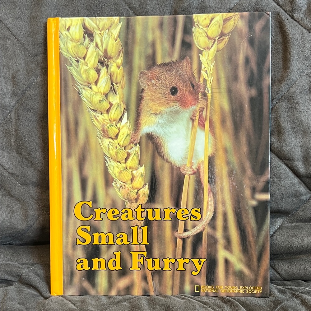 National Geographic Creatures Small and Furry - Orange and Brown Cover